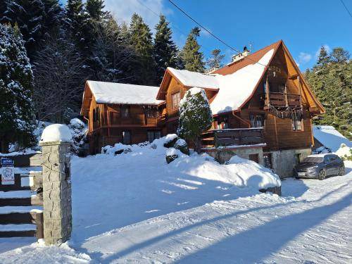 Krynica-Zdroj Bed & Breakfast | 17 m² Bed and breakfast ∙ 4 guests