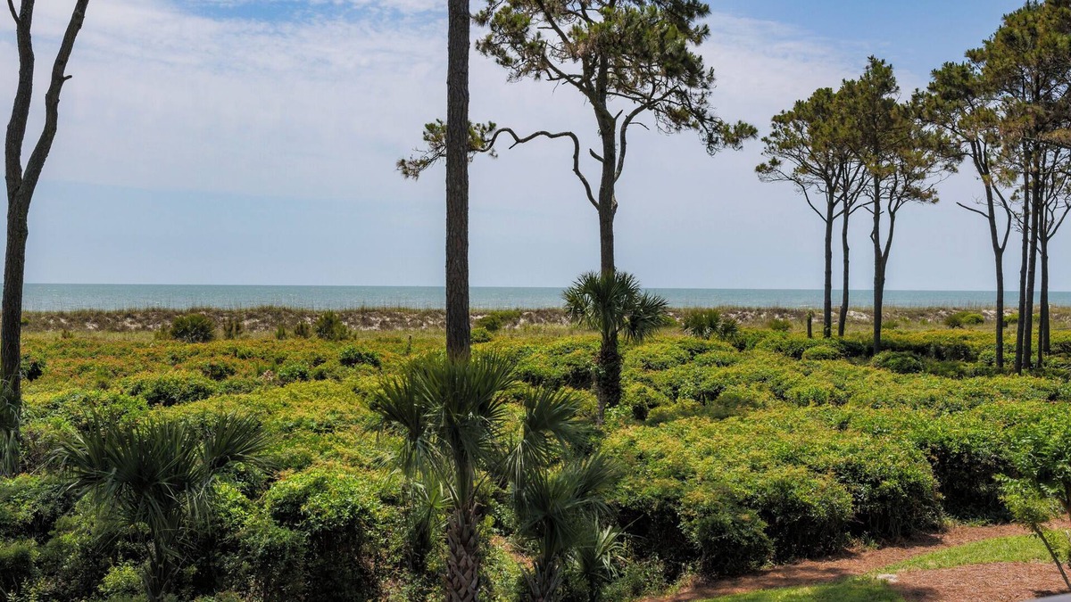 Hilton Head Villa | 171 Seaside Villas: Ocean Views. 1 Bedroom. 1 Bathroom.