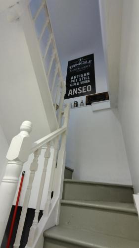 Dingle Apartment | 1780 Green Street