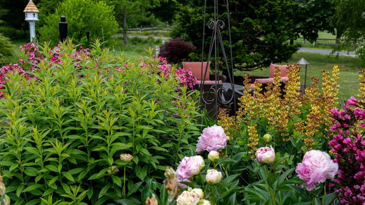 Kennebunkport Bed & Breakfast | 1802 House Bed and Breakfast