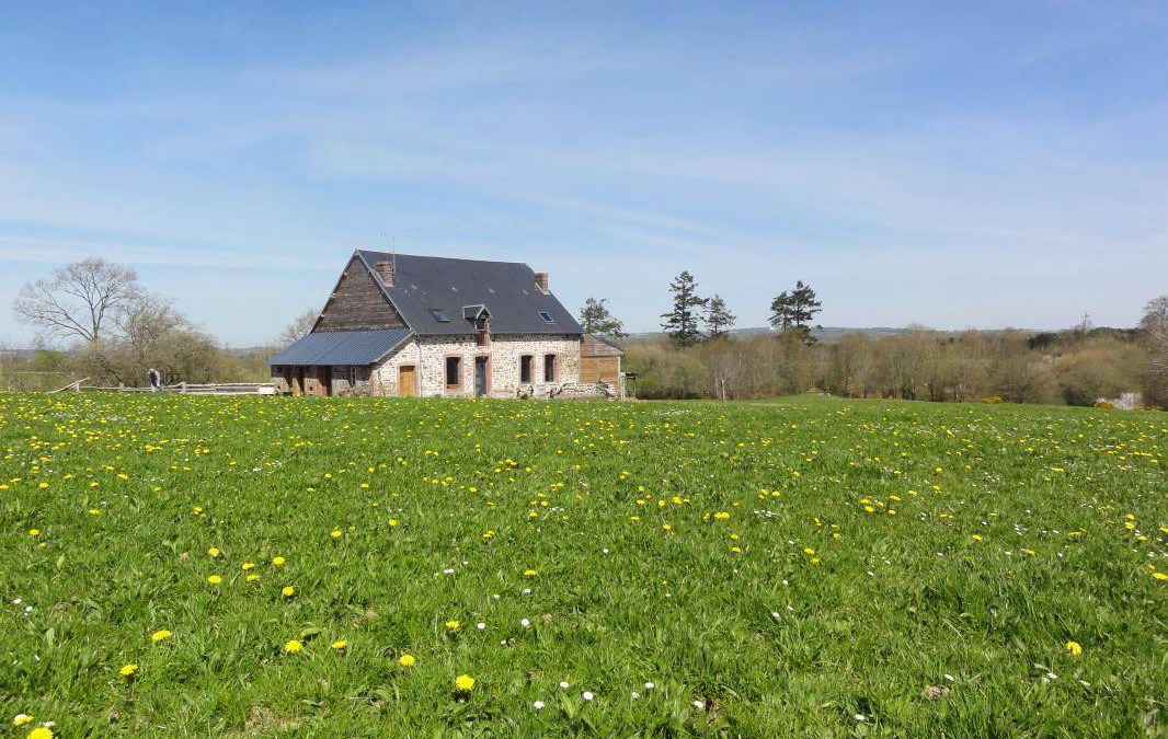 Placy-Montaigu House | 188 m² Gîte ∙ 5 bedrooms ∙ 9 guests