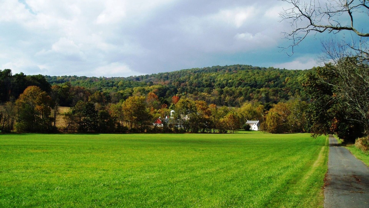 Riegelsville House | 18th C. HOME ON COOKS CREEK/CONSERVED 100 ACRE FARM (NYC 1.5 hrs; Phila. 1 hr)