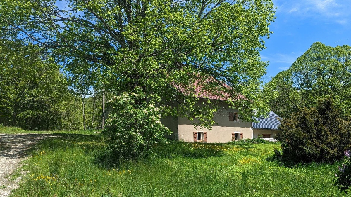 Hotonnes Other | 18th century farmhouse in the heart of a ski resort