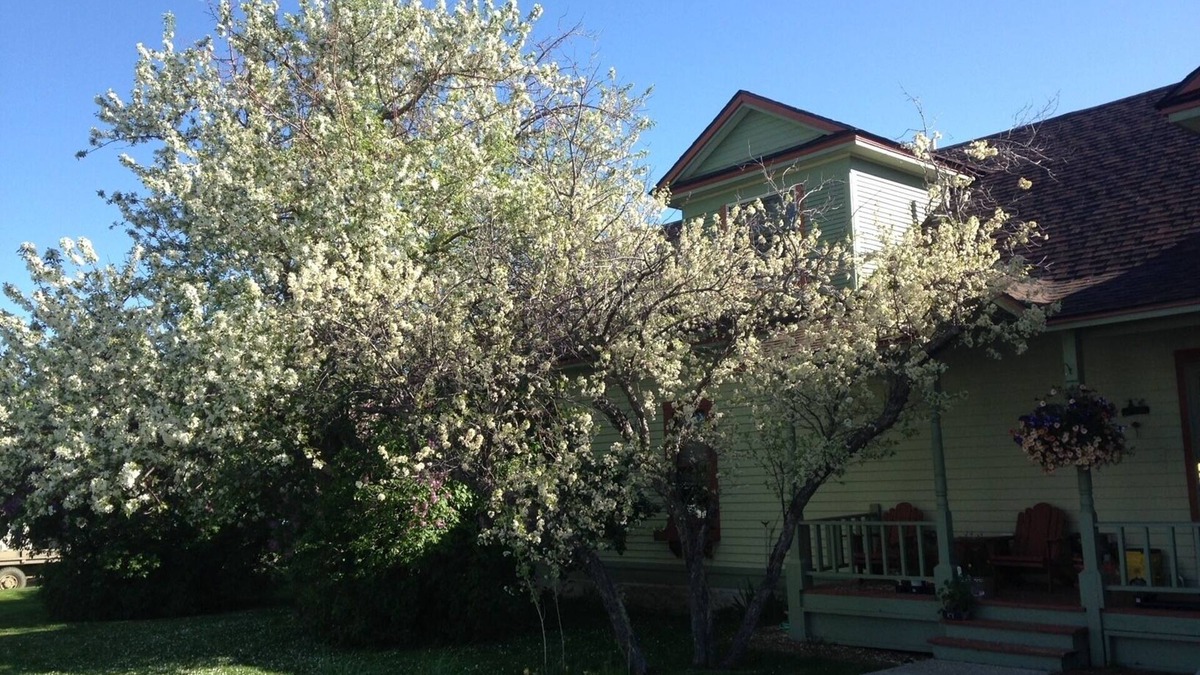 Big Timber House | 1910 Montana Charm! Experience the warmth and feel of a small- town home!