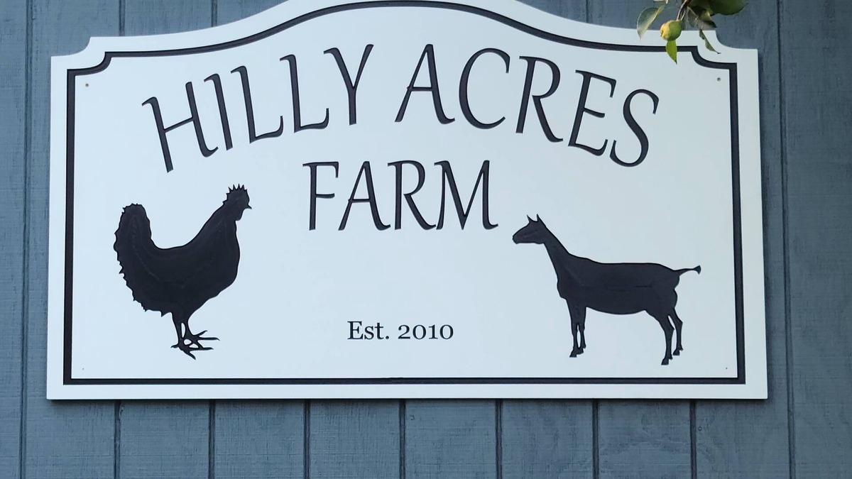 Bristol Apartment | 1B/1B Apt. on Hobby Farm 🐔 🐐 in Bristol. 5 minutes from Newfound Lake
