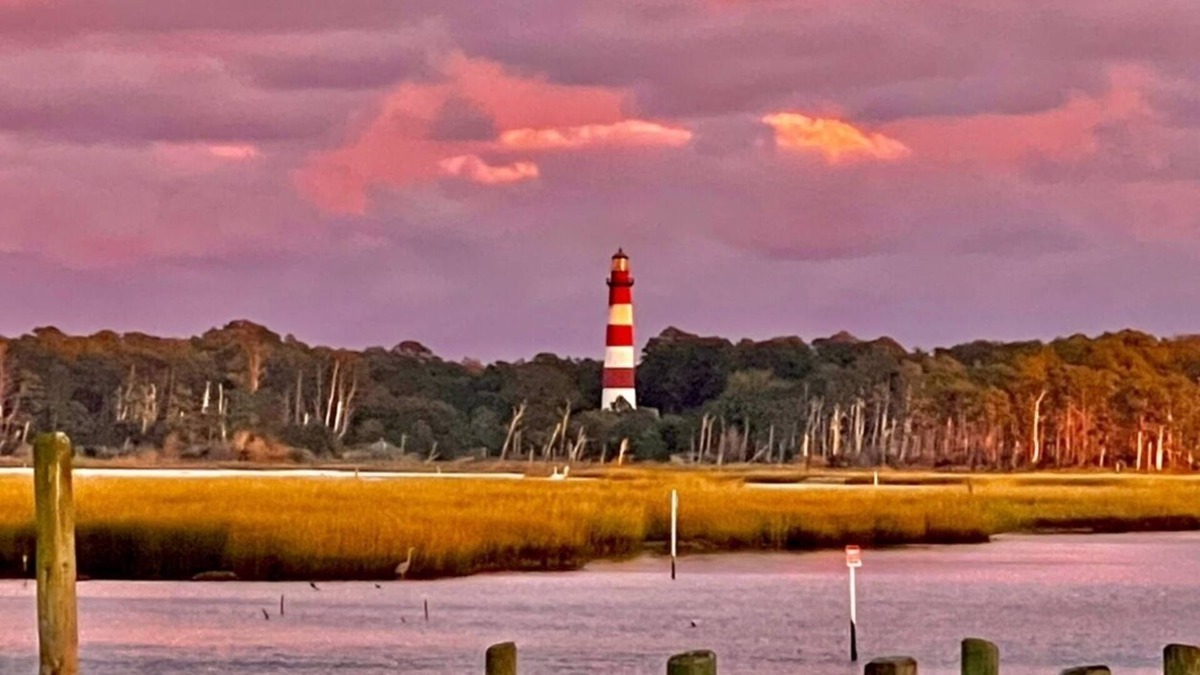 Chincoteague Cottage | 1BR Waterfront cottage with a view of the wild Chincoteague ponies!