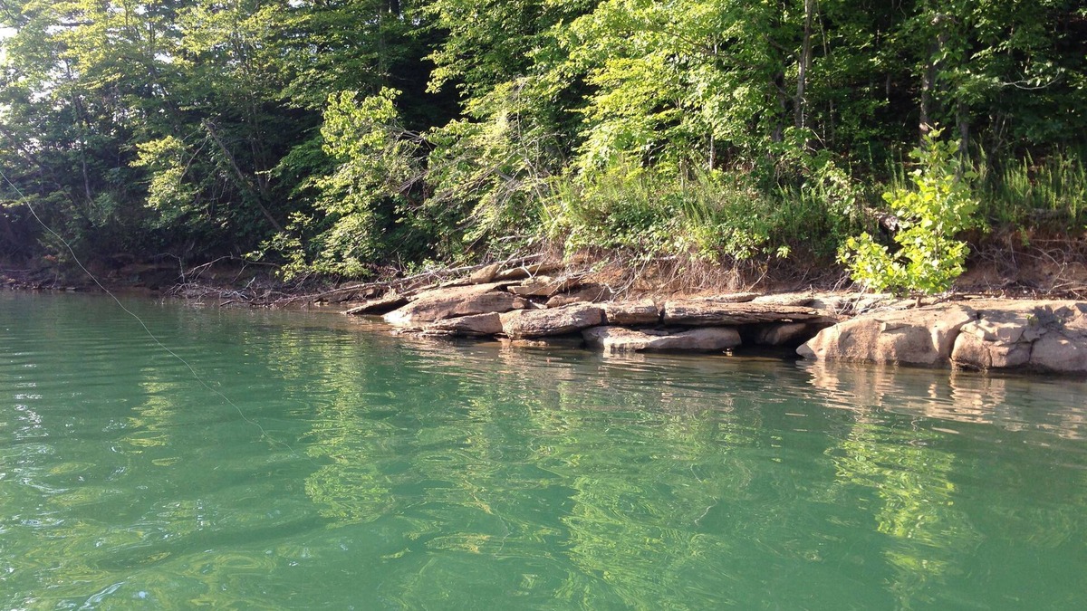 Albany House | 2 .0 miles from Wolf River Resort on Dale Hollow Lake