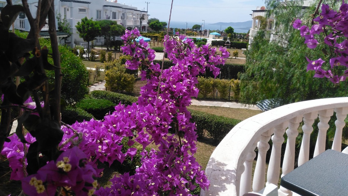 Bogazici Apartment | 2+1 Apartment (D), with Sea and Lake View in Bodrum Flamingo