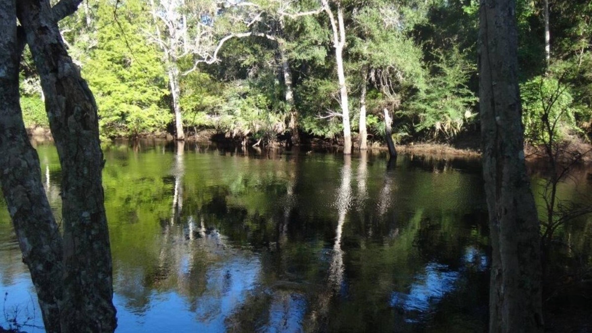 Steinhatchee Cabin | 2/1 Riverfront! Cabin-Fireplaces-Balcony-Nature-Fishing-Gulf of Mexico