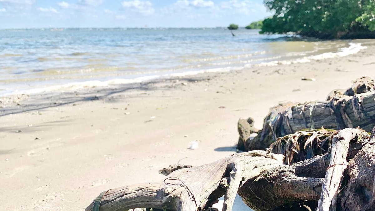 Cortez House | 2/2 blocks from the water, bike ride to the beach THE FLORIDIAN