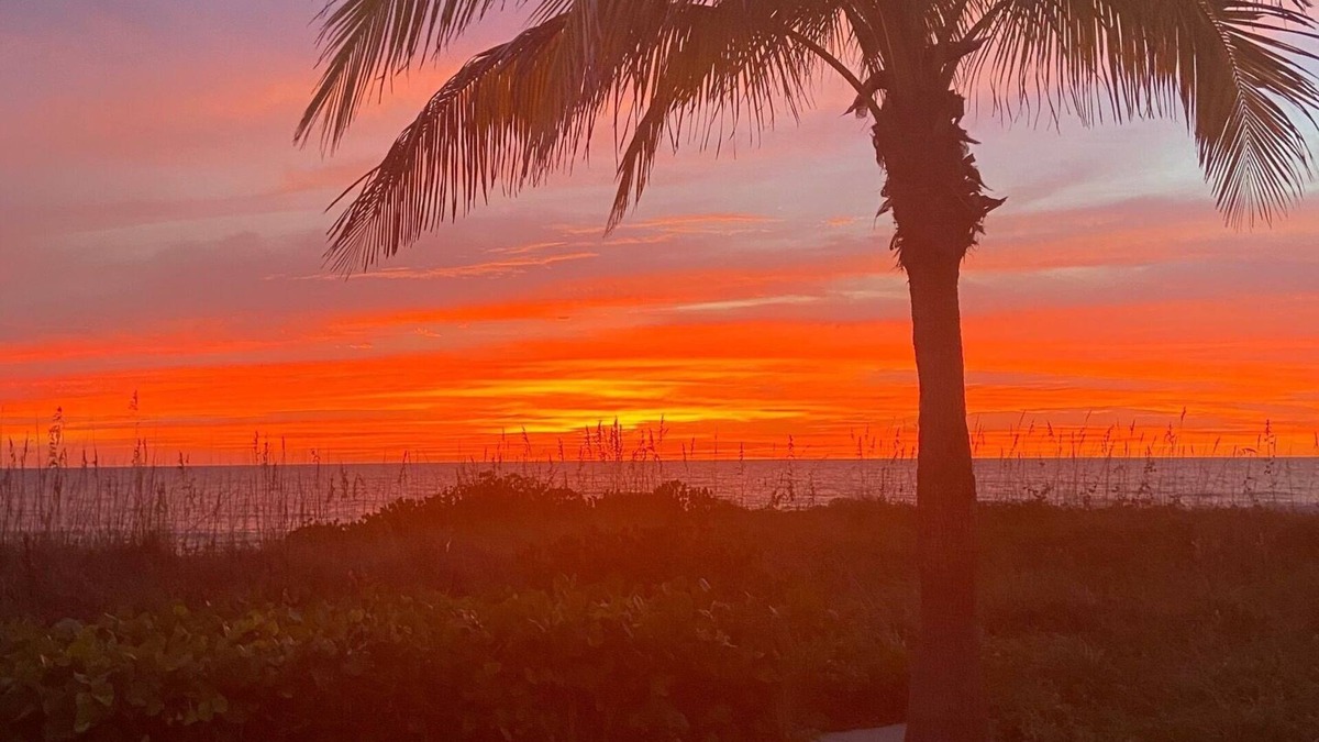 Longboat Key Condo | 2 Bd/2 Bath Condo on Sarasota Bay Across from Gulf of Mexico 3-6 month rental