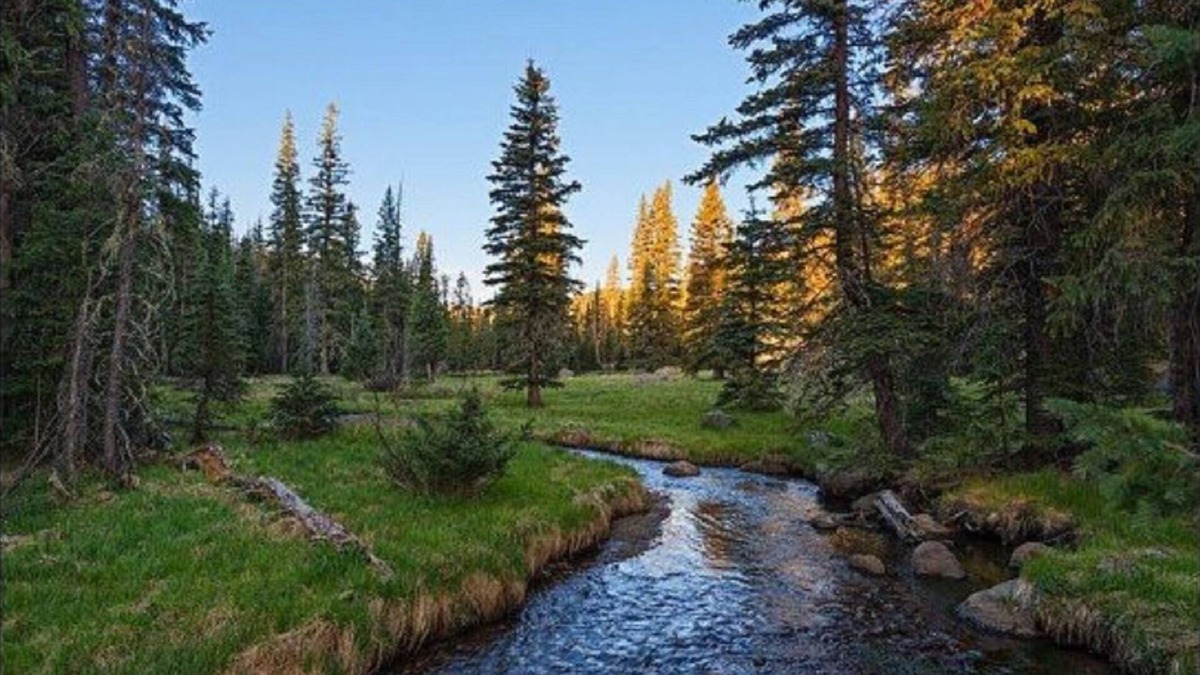 Pinetop Cabin | 2 BDRM CABIN~ (LOWERED RATES) PERFECT LOCATION~ INDOOR POOL & HOT TUB~ SLEEPS 6~