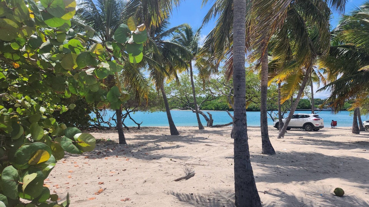 Barahona Apartment | 2-bdrm Penthouse apt, private rooftop with Bay views, AC, WiFi, BBQ, Parking +