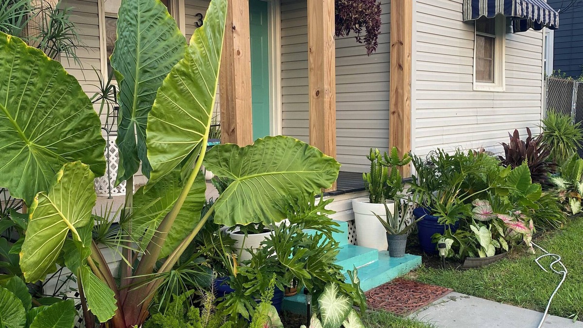 Jefferson House | 2 bed/1 bath in Quiet New Orleans Neighborhood