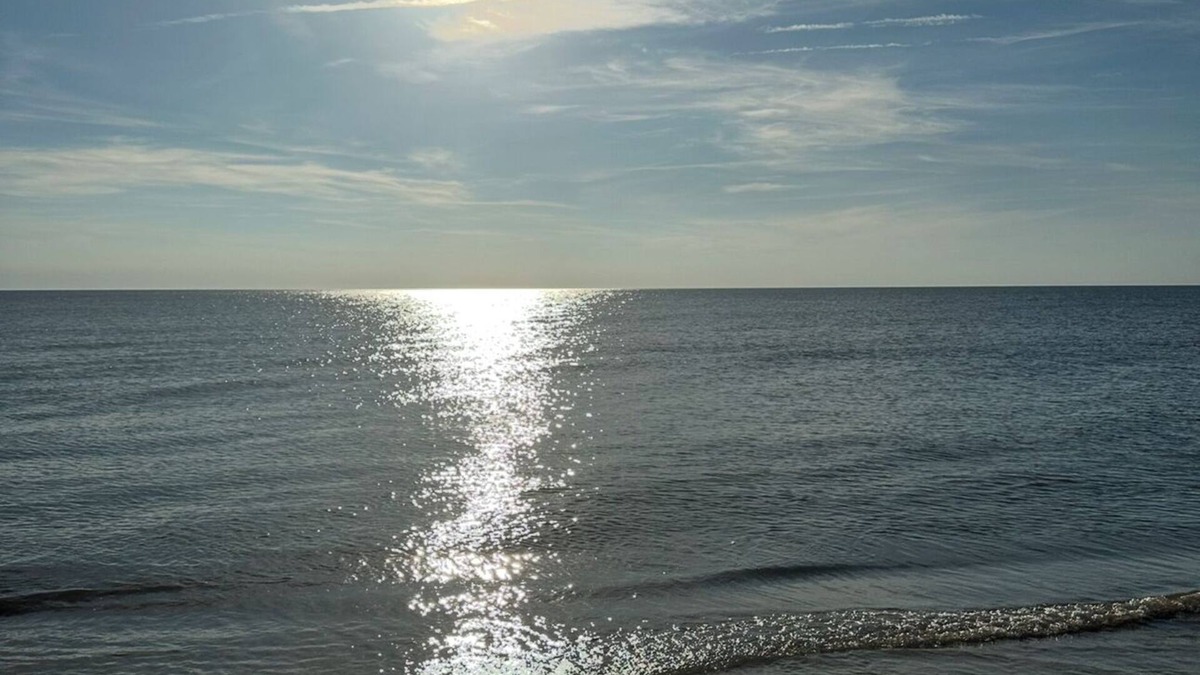 Rio Grande Cottage | 2 Bedroom 1 Full Bath cottage minutes to beach or bay. 3 Person Max Only !