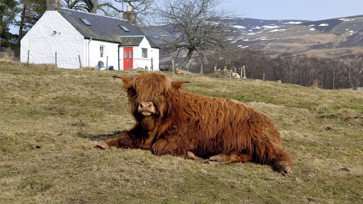 Kirriemuir Cottage | 2 bedroom accommodation in Glenprosen, by Kirriemuir