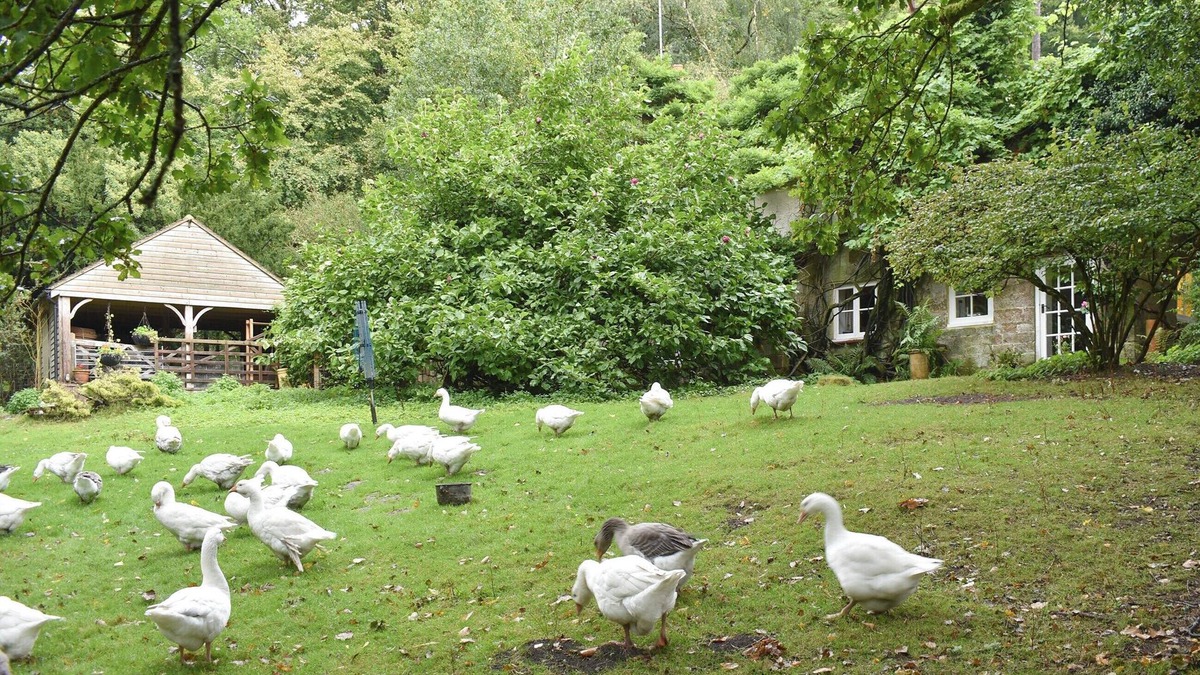 Crowborough Cottage | 2 bedroom accommodation in Crowborough