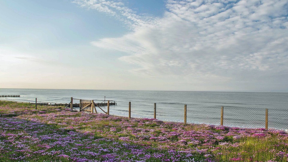 Walcott Cottage | 2 bedroom accommodation in Walcott, near Happisburgh