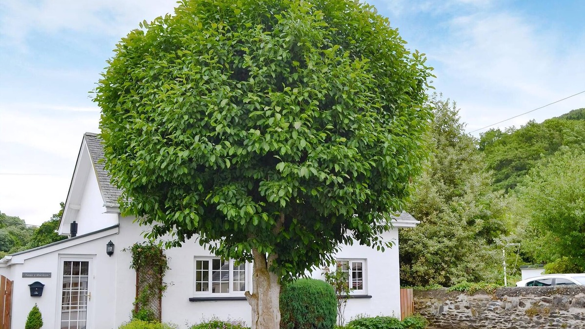 Borth Cottage | 2 bedroom accommodation in Dol-y-Bont, near Borth