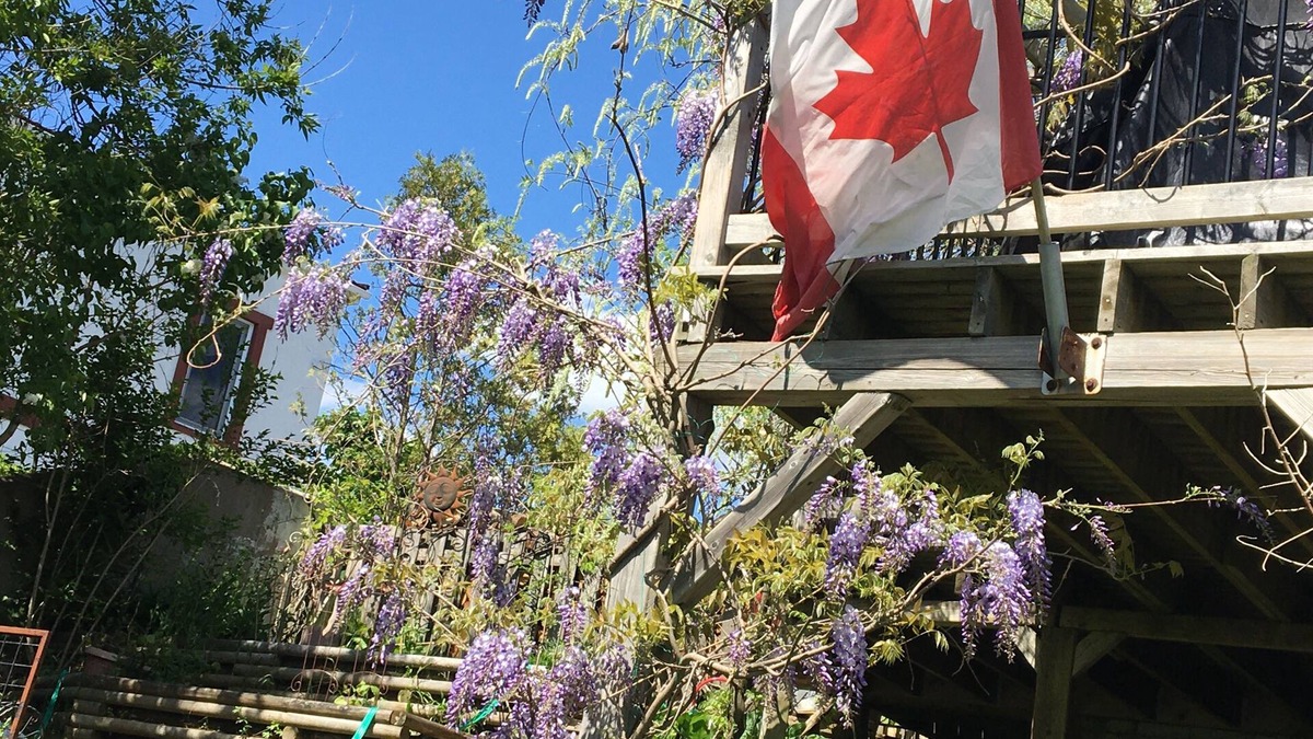 Bridgewater Apartment | 2-bedroom apartment in charming Bridgewater with WiFi, AC. Enjoy your stay