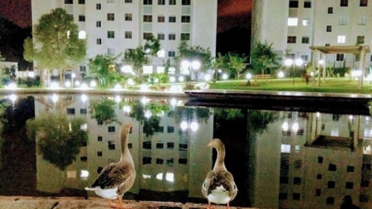 Pinheirinho Apartment | 2-bedroom apartment in Condominium Club in Curitiba in Pinheirinho