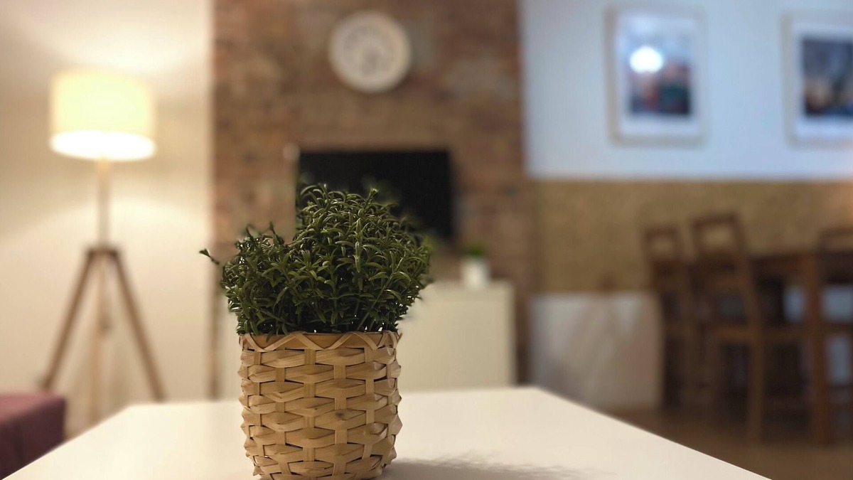 Aniolki Apartment | 2-bedroom apartment in charming Gdańsk with free parking, WiFi, AC, scooters