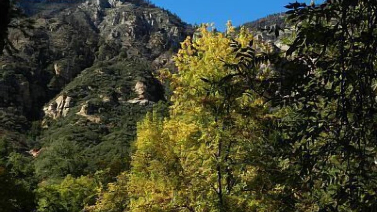 Sedona Condo | 2 Bedroom Condo On The Banks Of Oak Creek