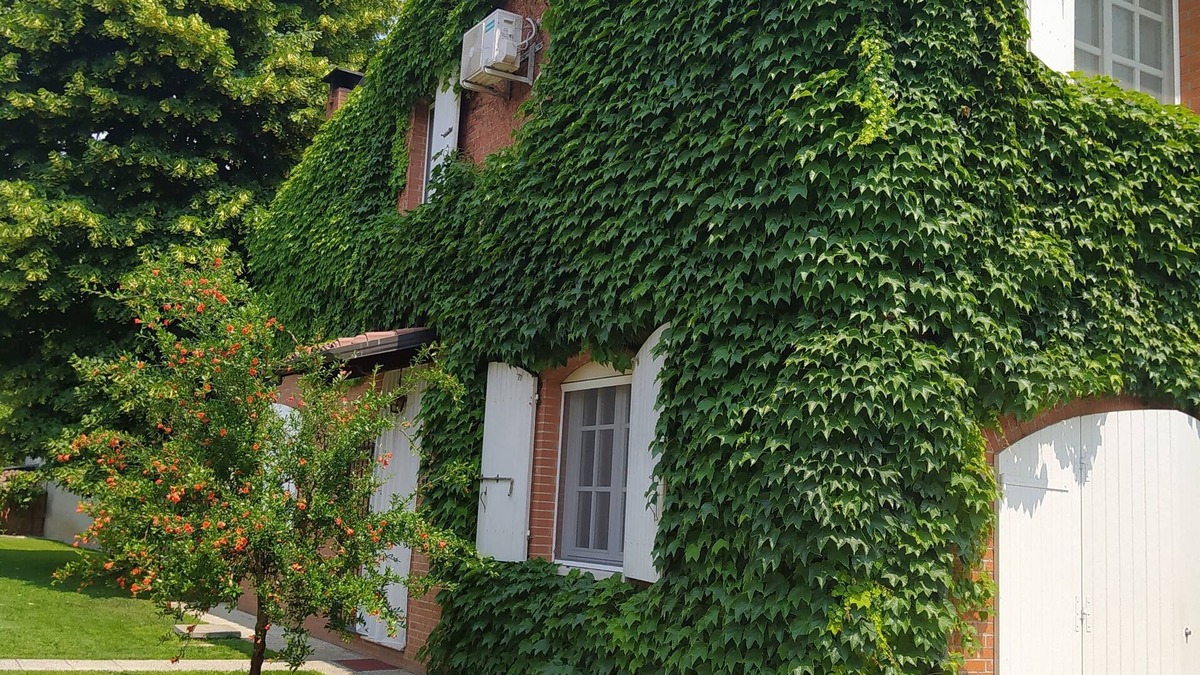 Drizzona Apartment | 2 Bedroom Apartment in Castelfranco D'oglio