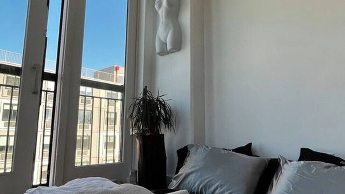 Bushwick Apartment | 2-bedroom PH Level Apt in Williamsburg with Huge Terrace and City Views Roof.