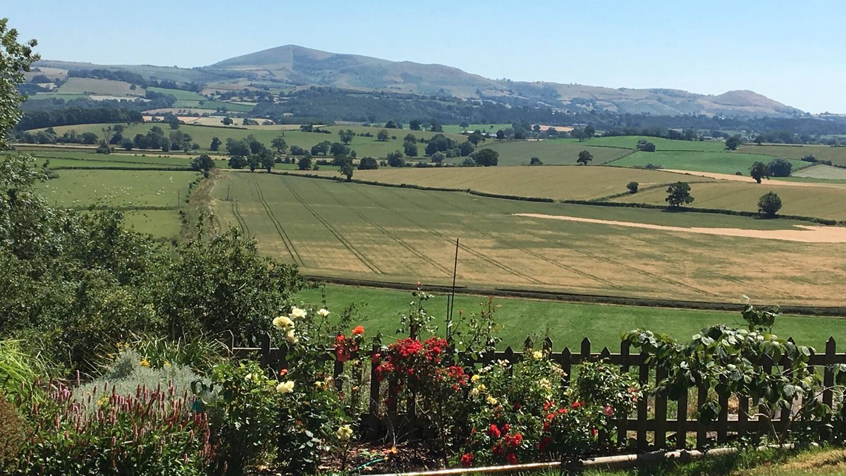 Kingswood Cottage | 2 Bedroomed Cottage with Outstanding Views- TAKING BOOKINGS NOW!