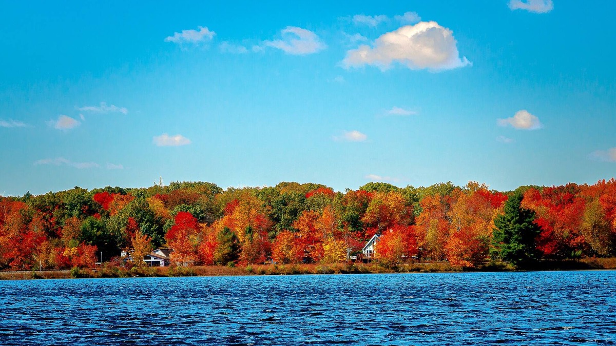 Pocono Summit Cabin | 2 Bedrooms Cabin In Pocono Summit