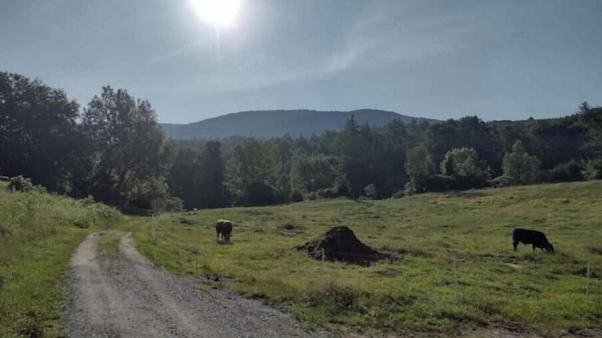 Wallingford Apartment | 2 BR pets ok, amazing view, swimming hole, fantastic view of Green Mountains