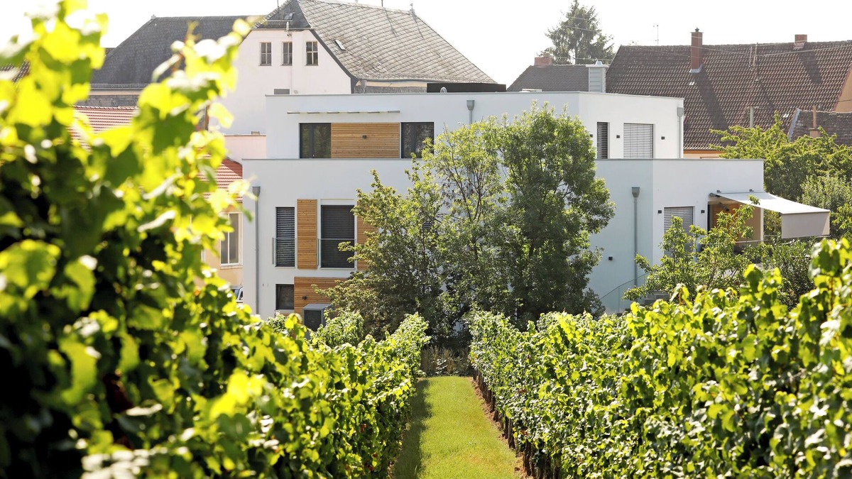 Edenkoben Apartment | 2 holiday apartments equipped with a four-star plus hotel room.