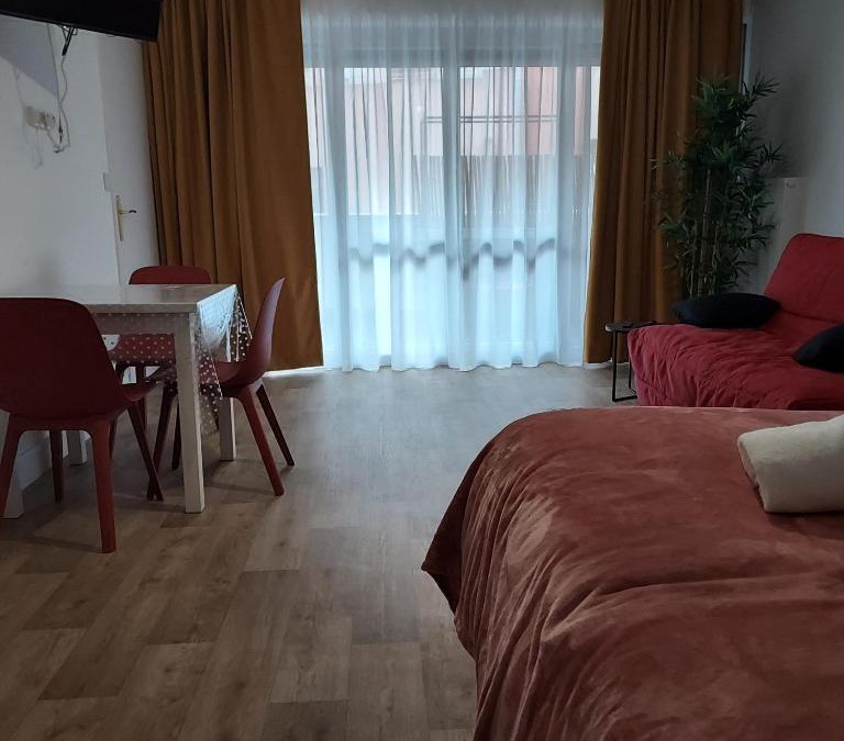 Saint-Vincent Apartment | 2 LYS Orleans Downtown, free secure parking