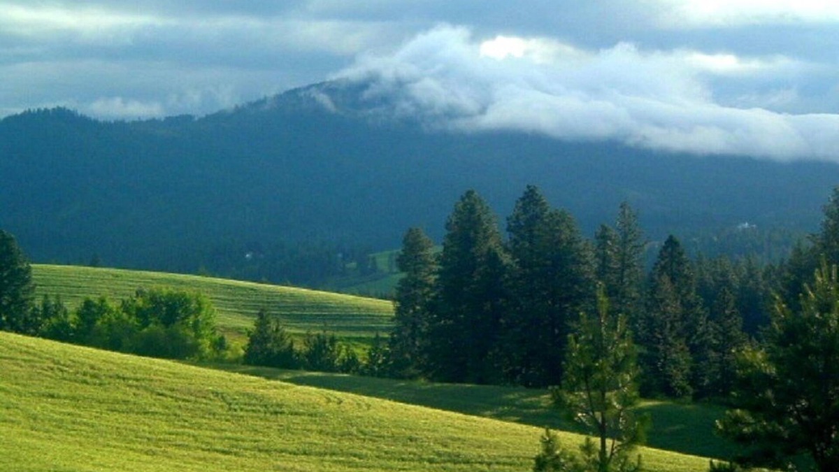 Moscow Other | 2 Rooms: Quiet queen & twin rooms on an alpaca farm for 2-4 guests