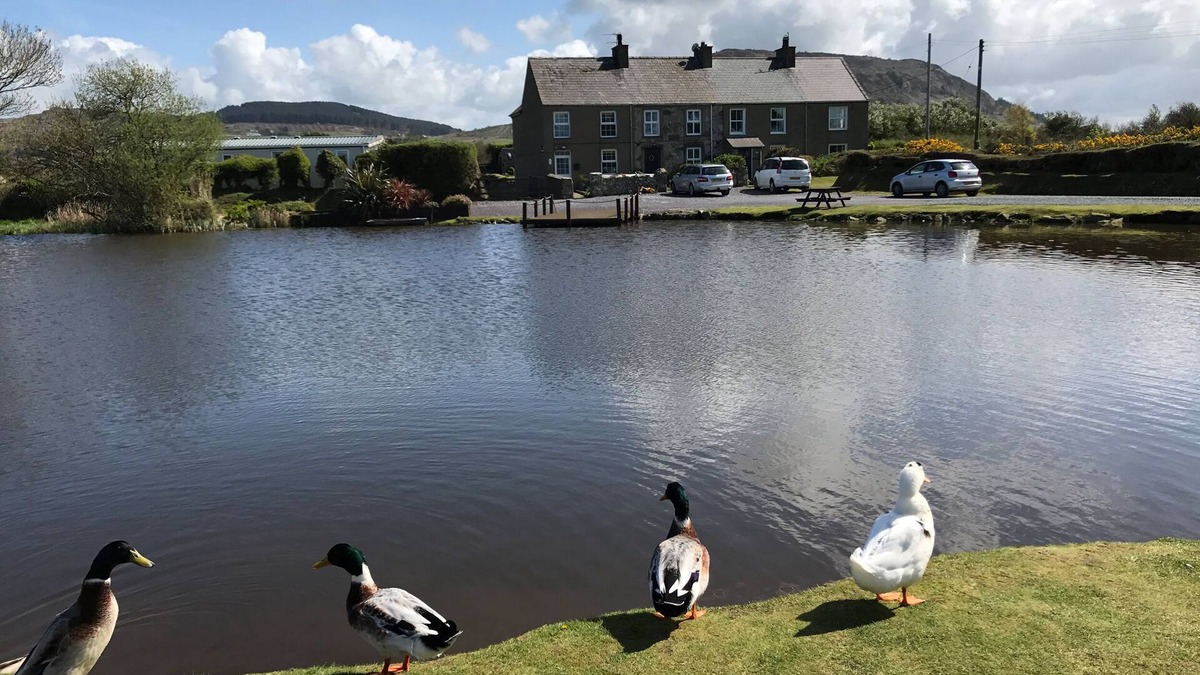 Garn Fadryn Cottage | 2 SEA VIEW COTTAGE, pet friendly, country holiday cottage in Nefyn