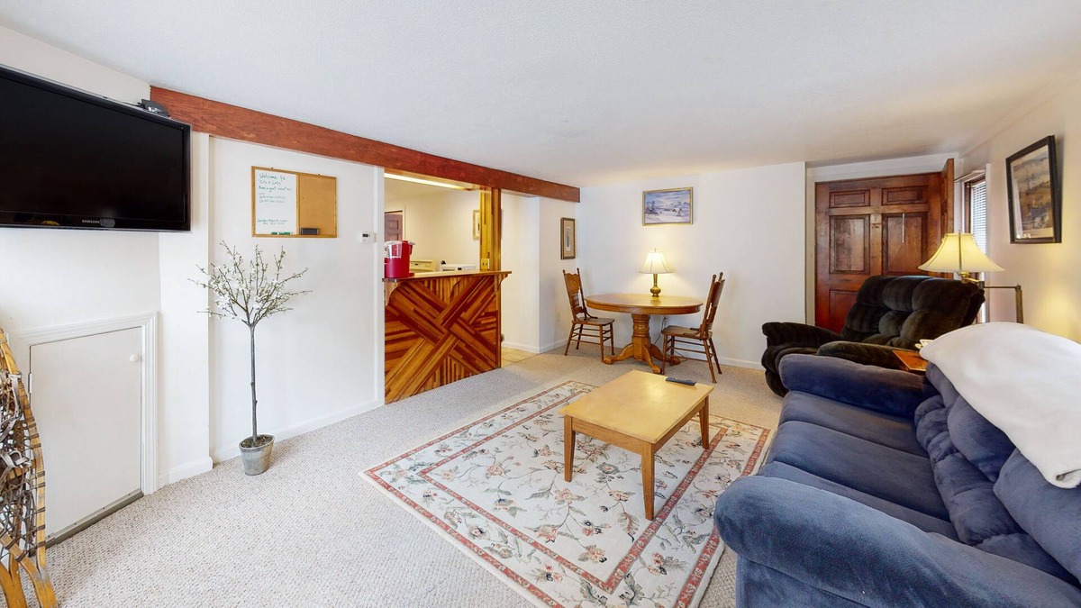 Rochester Apartment | 2-story riverfront apt with mountain views, firepit, 2 canoes, hammock, & AC