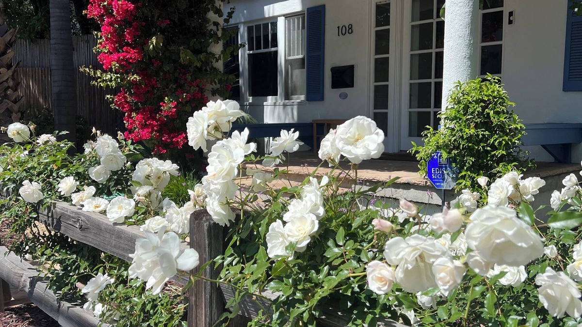 Lower State Cottage | 2 West Beach Cottages, 1 Block to Beach & Downtown, Harbor & Funk Zone