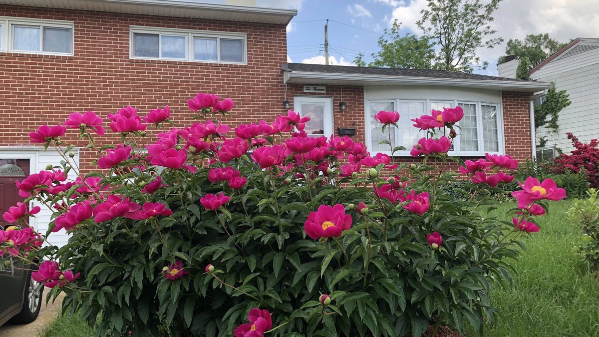 Catonsville House | 20% discount-Baltimore& DC Metro area