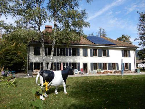 Val-de-Travers Bed & Breakfast | 20 m² Bed and breakfast ∙ 3 guests