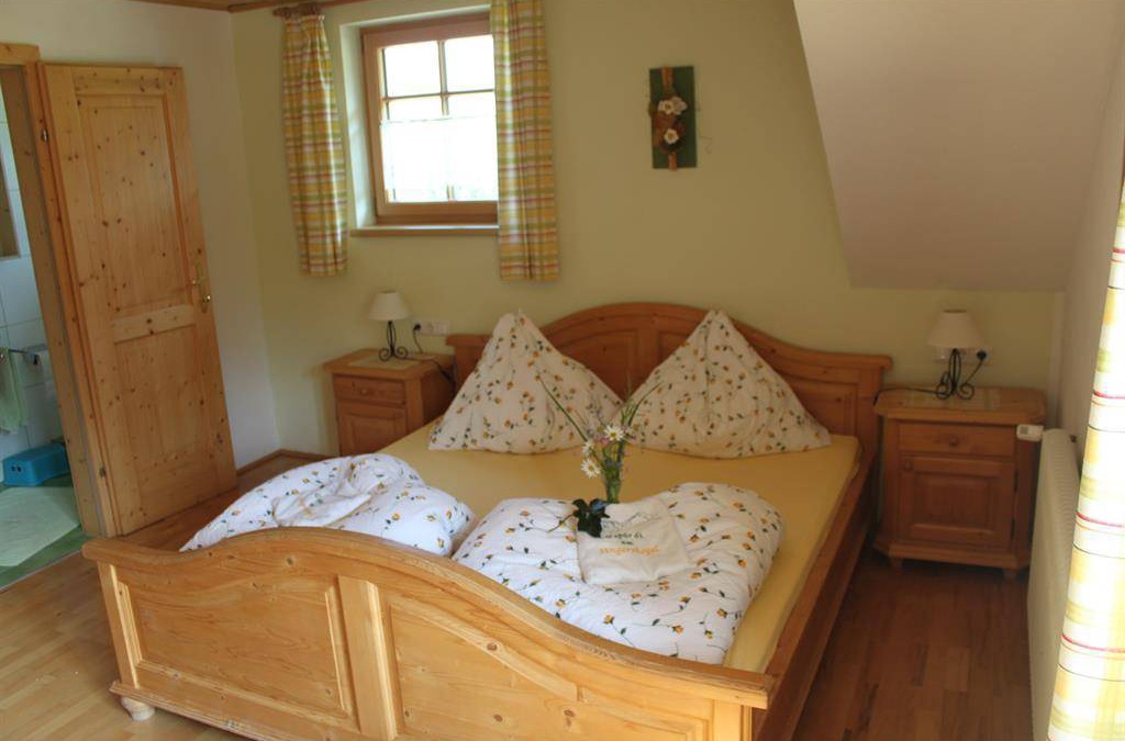 Spital am Pyhrn Hotel | 20 m² Hotel ∙ 1 bedroom ∙ 2 guests