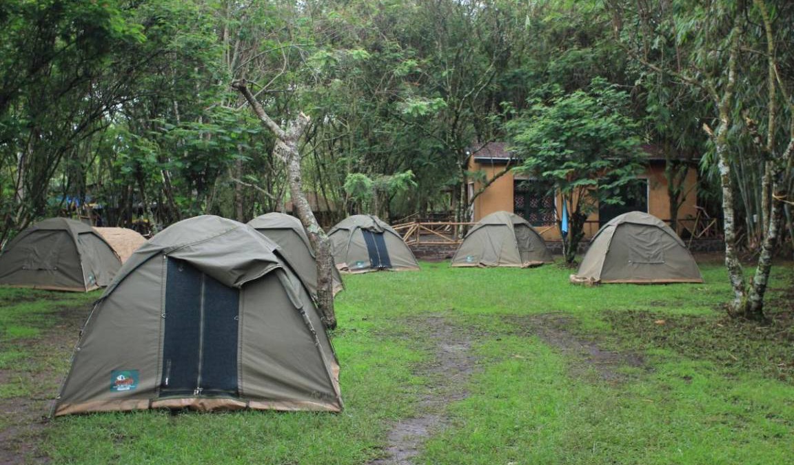 Nyakinama Resort | 20 m² Private room ∙ 1 bedroom ∙ 2 guests