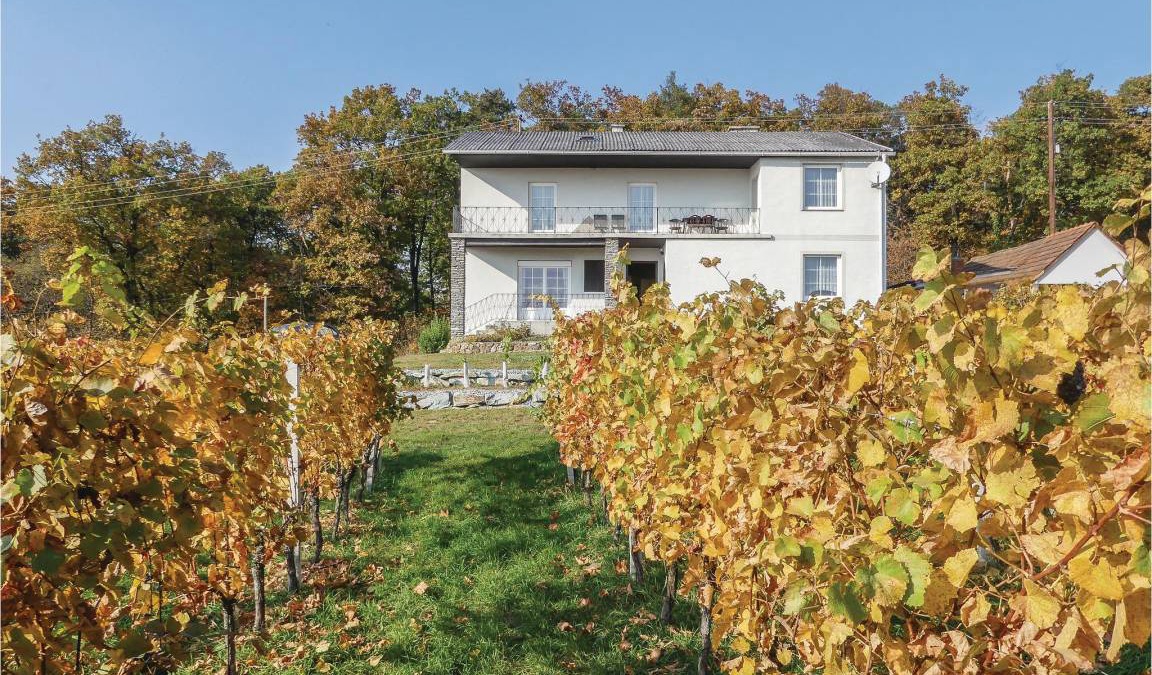 Deutsch Schuetzen-Eisenberg House | 200 m² House ∙ 5 bedrooms ∙ 10 guests
