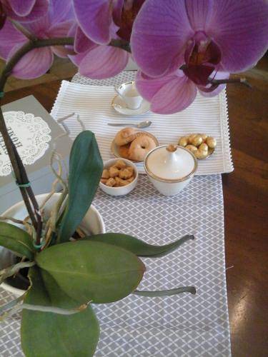 Capriata d'Orba Bed & Breakfast | 21 m² Bed and breakfast ∙ 3 guests