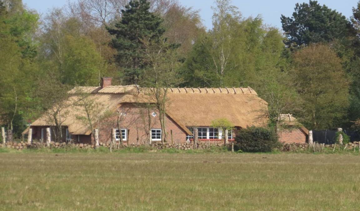 Bøtø By House | 212 m² House ∙ 1 bedroom ∙ 12 guests