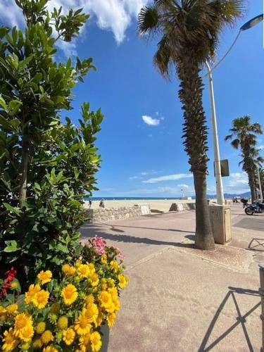 Saint-Assiscle Apartment | 25 m² Apartment ∙ 1 bedroom ∙ 4 guests