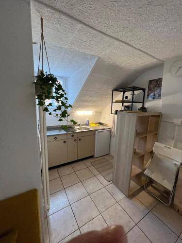 Lausanne Apartment | 25 m² Apartment ∙ 1 bedroom ∙ 3 guests