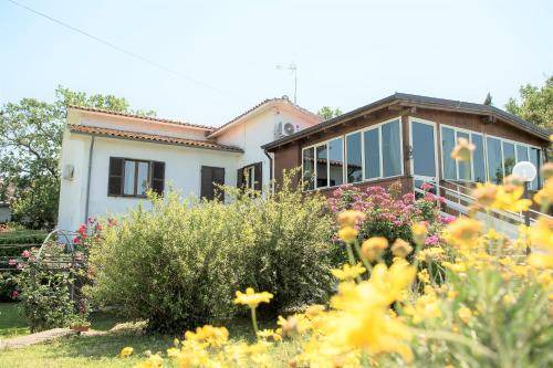 Viterbo Bed & Breakfast | 25 m² Bed and breakfast ∙ 3 guests