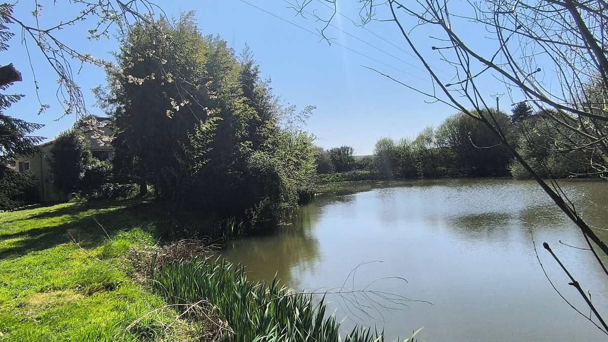 Saint-Leger-sous-Cholet House | 25 minutes from Puy du Fou: La maison du Lac