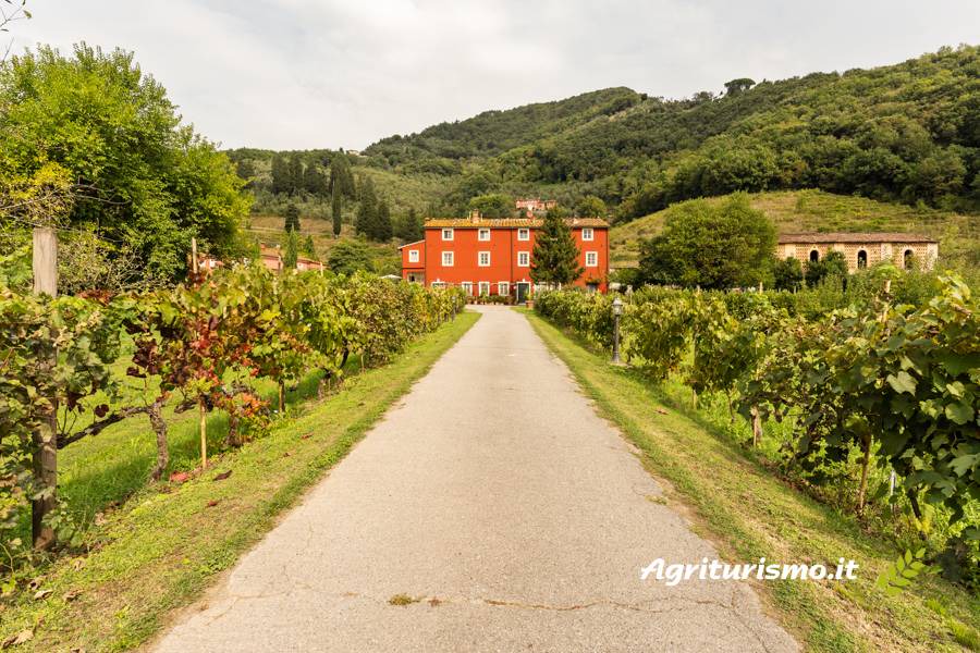 Lucca Apartment | 250 m² Apartment ∙ 8 guests